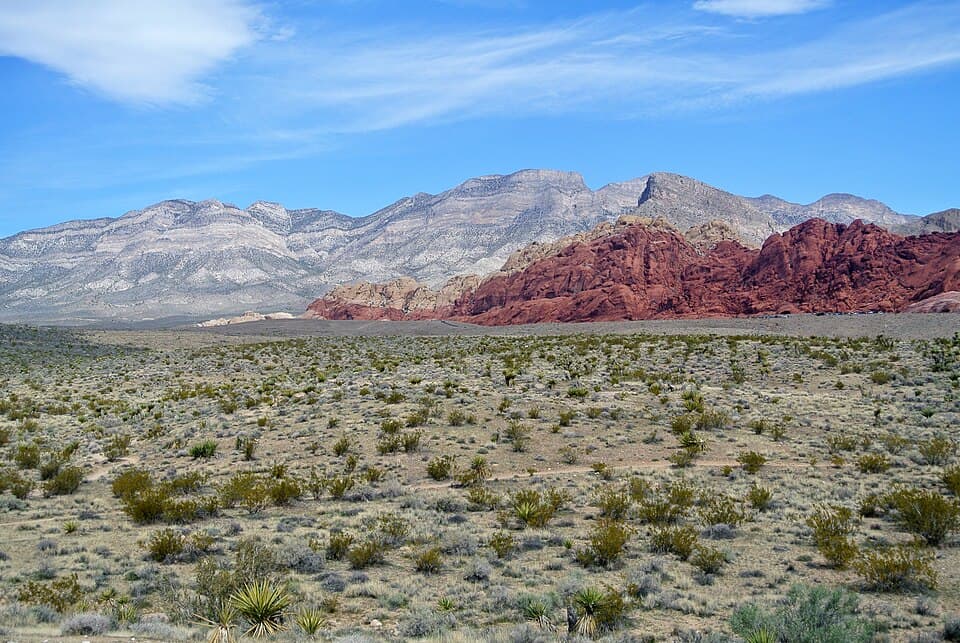 Desert International Art Show in Palm Springs
