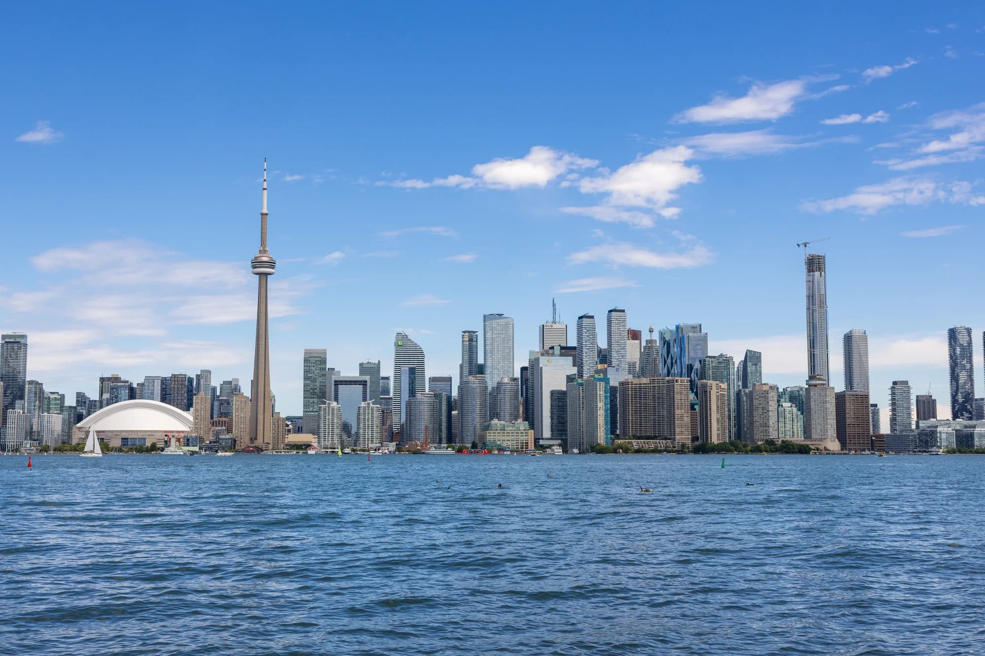 Toronto skyline with the CN Tower viewed across Lake Ontario from Olympic Island