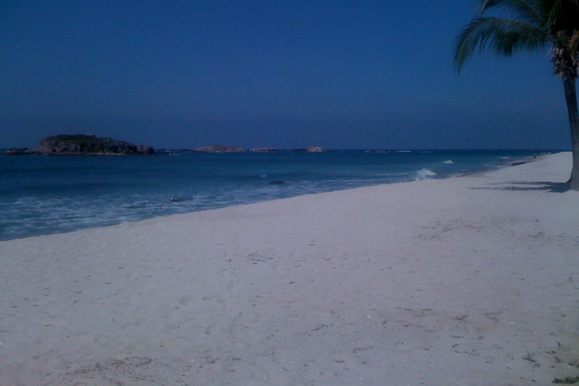 Quiet white-sand beach in Punta Mita, Nayarit, with a palm tree framing the shoreline and the Marietas Islands visible offshore at dusk