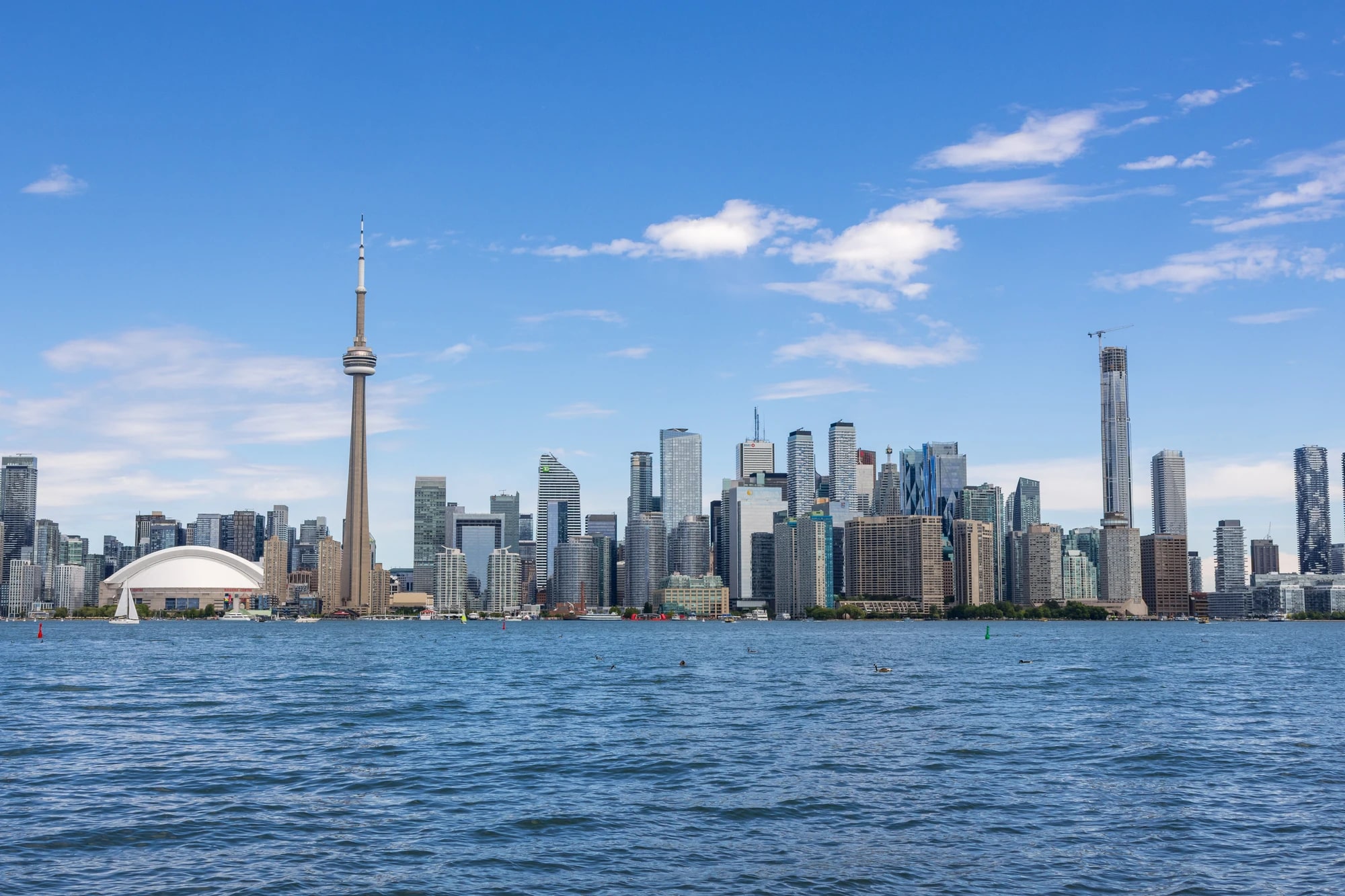 Toronto skyline with the CN Tower viewed across Lake Ontario from Olympic Island